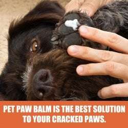 Pet Foot Care Cream